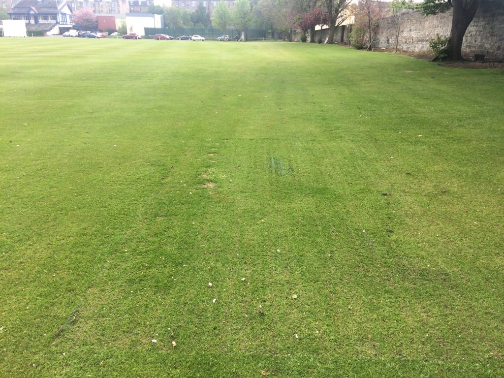 TurfMesh Installation Grange Sports Club - Grass Growth After the installation