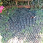 GrassMesh On Backgarden - Before