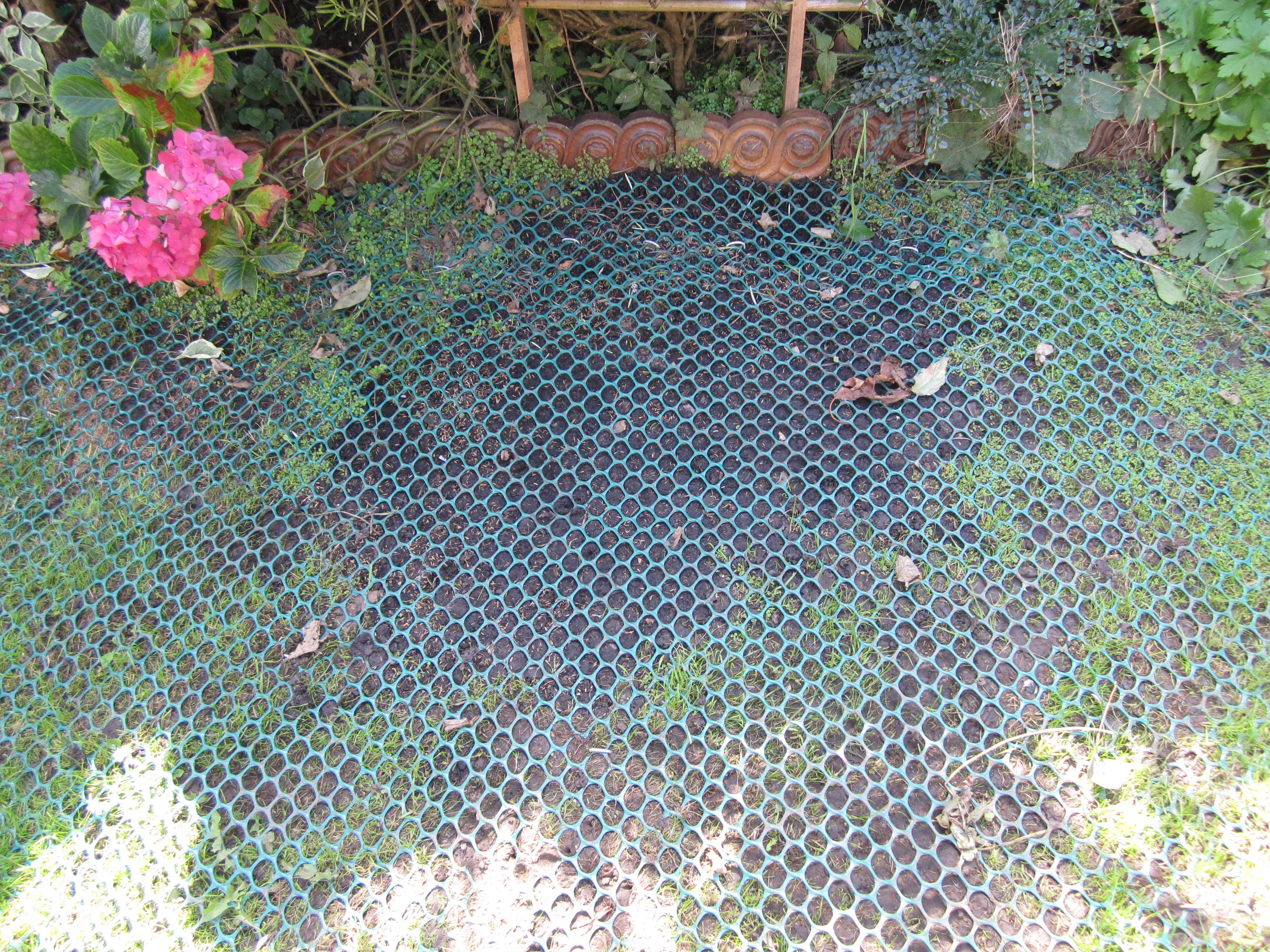 GrassMesh On Backgarden - Before