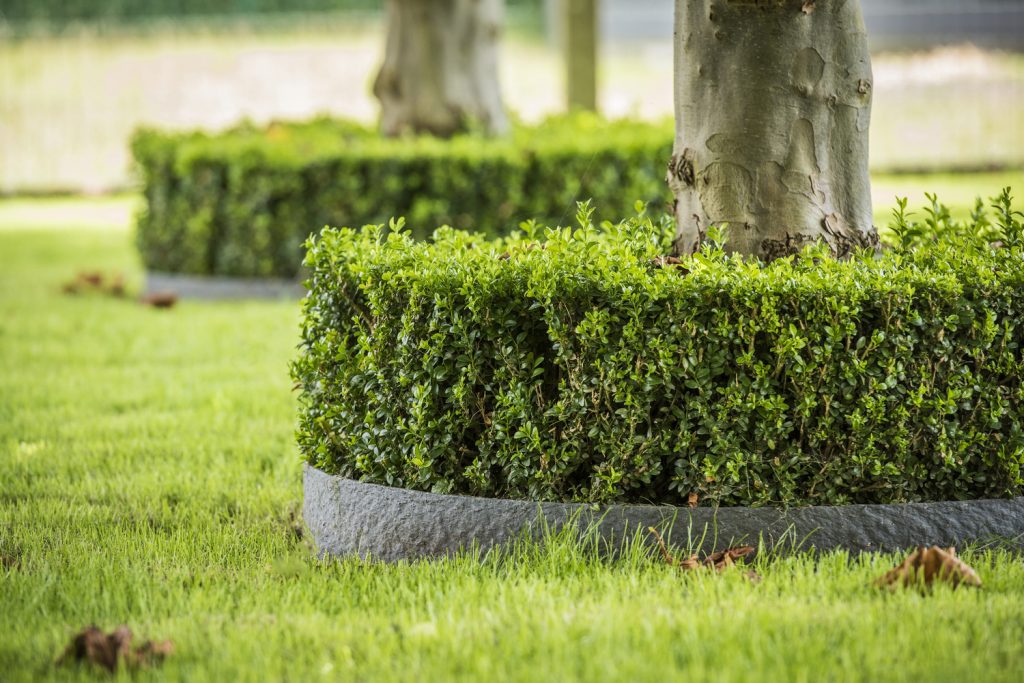 Grey EcoLat Garden Edging In Use