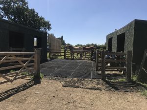 Rubber Grass Mats can be used for a number of uses