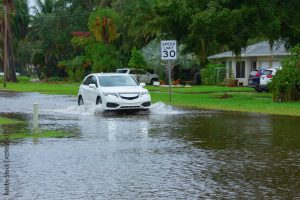 Increased urbanisation has resulted in more city surface flooding