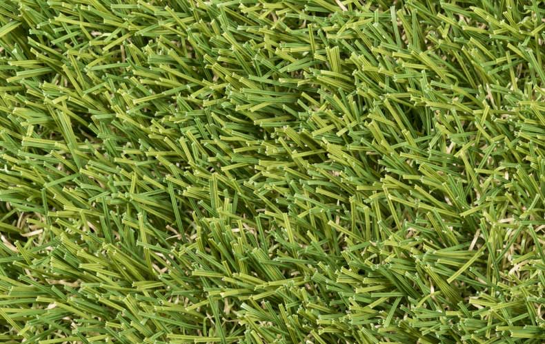 Wisdom Artificial Grass