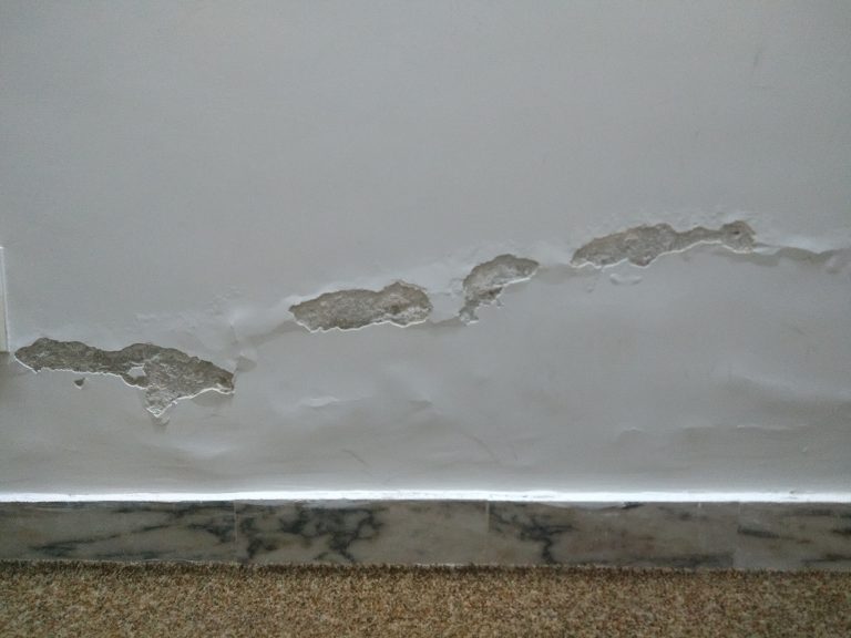 Plastering should be avoided when there is rising damp.