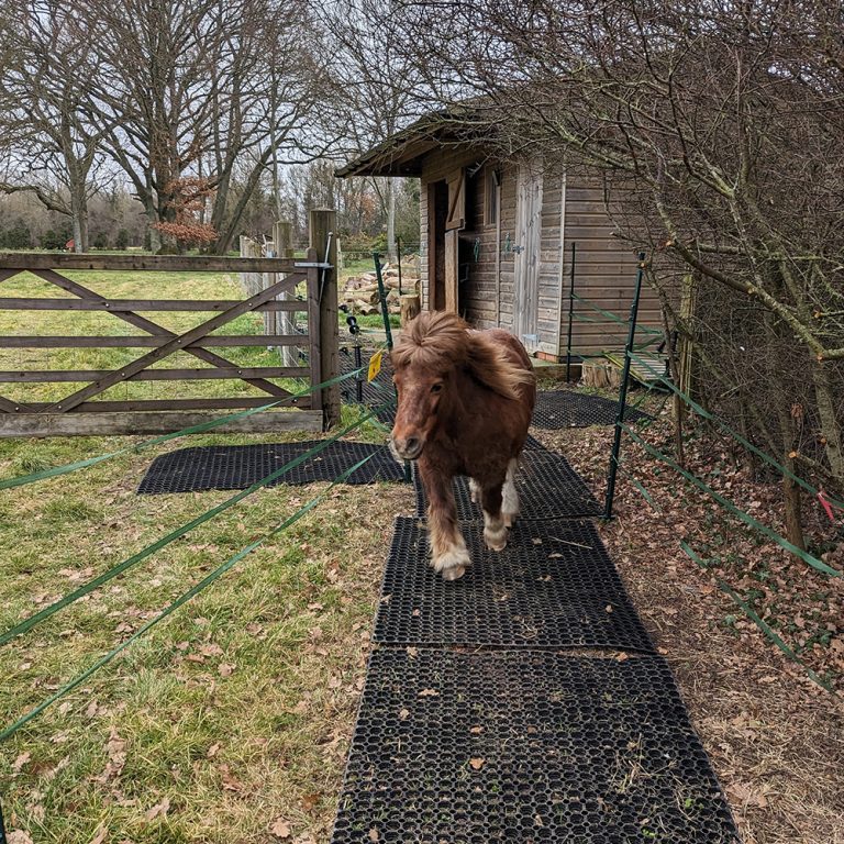 6 - Pony Galloping On Grass Mats
