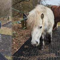 OATs Rubber Grass Mats Donation - Featured Image