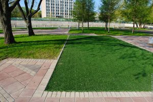 Artificial Grass