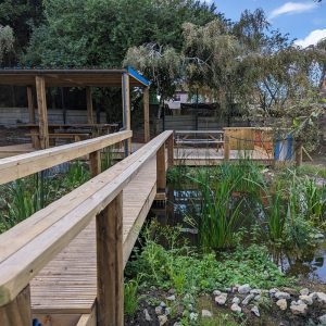 Outdoor Classroom Bridge Over Pond