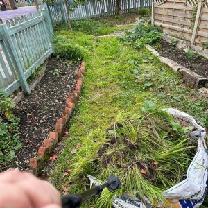 The Sensory Garden Area Before The Project