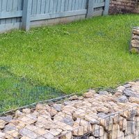 Grass Protection Mesh Garden Transformation - Featured Image