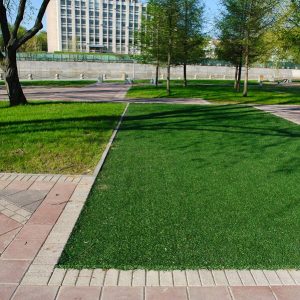 Artificial Grass