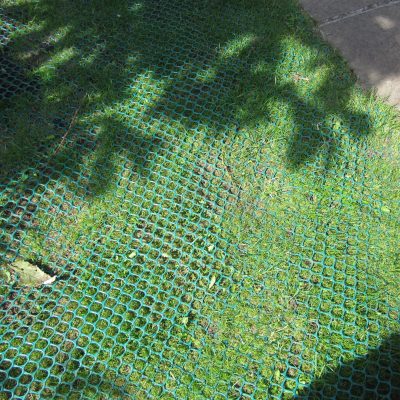 GrassMesh On Backgarden - After