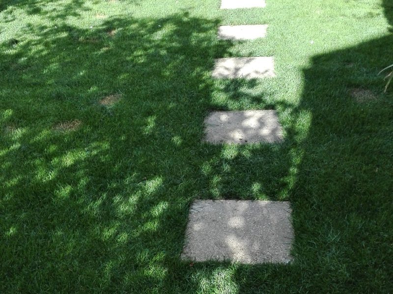 GrassMesh On New Lawn - After