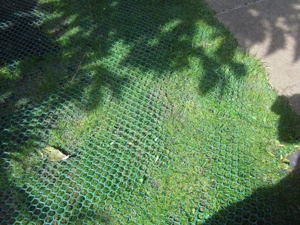 GrassMesh Installed - After