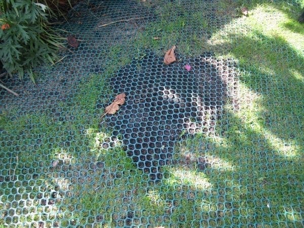 GrassMesh Installed - Before