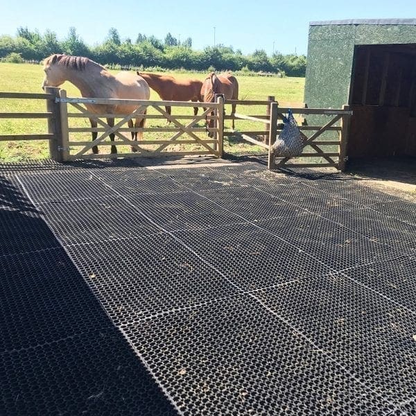 Rubber Grass Mats In Use - Equestrian