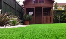 Artificial Grass