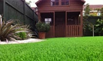 Artificial Grass