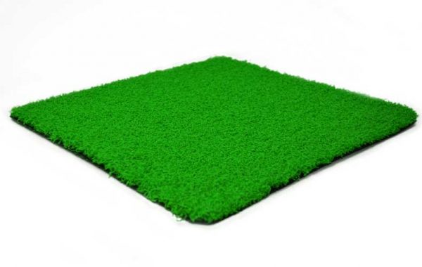 Green Coloured Grass