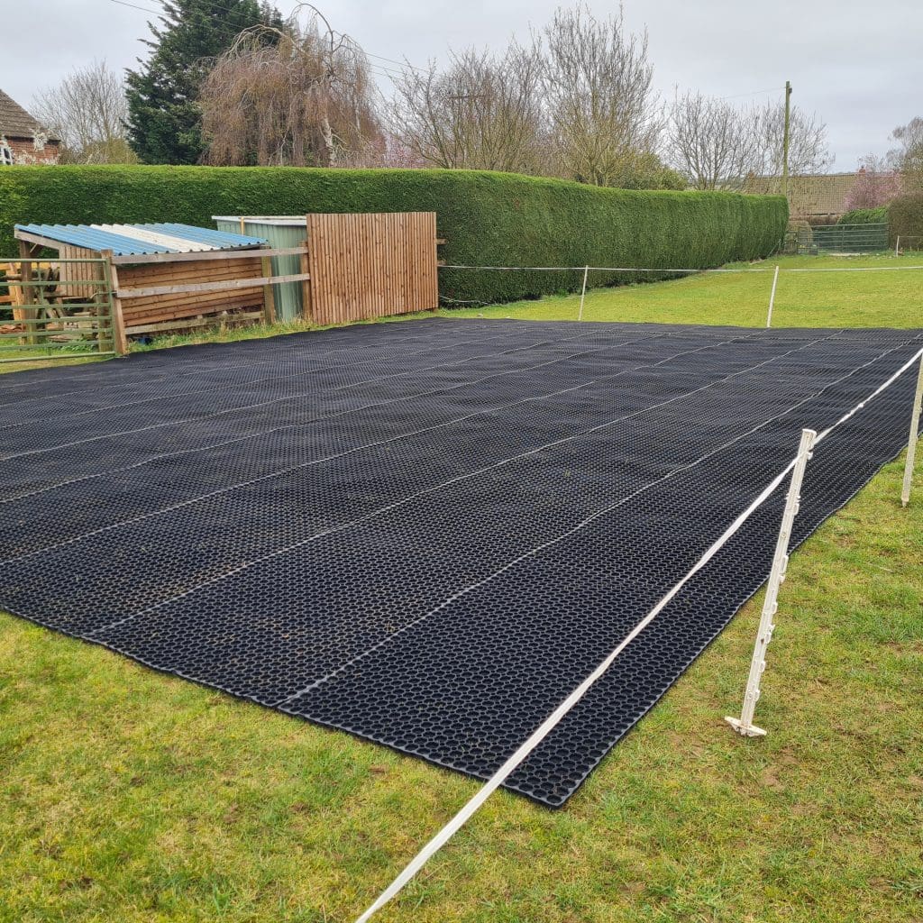 Image #1 from Sue Morris